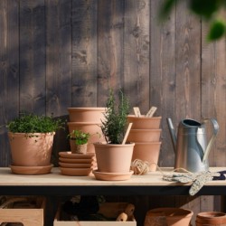 گلدان گیاه با نعلبکی ایکیا مدل IKEA MUSKOTBLOMMA