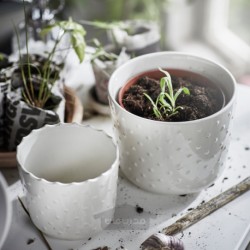 گلدان گیاه ایکیا مدل IKEA SESAMFRÖN