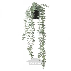 بوته آویز اکالیپتوس ایکیا 9 سانتیمتر مدل FEJKA IKEA
