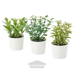 گیاه مصنوعی با گلدان ست 3 عددی برای فضای داخلی و خارجی 5 سانتی متری ایکیا مدل IKEA FEJKA