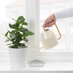 قوطی آبیاری عاج/طلایی رنگ 0.9 لیتر ایکیا مدل IKEA VATTENKRASSE