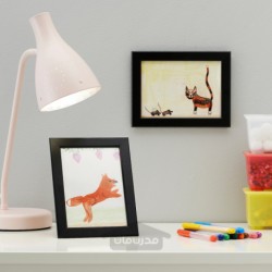 قاب ایکیا مدل IKEA FISKBO
