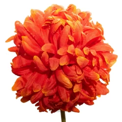 گل مصنوعی c144F426-MIX